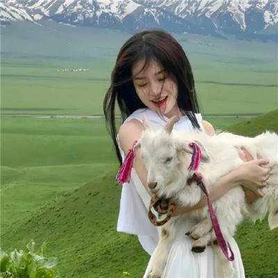 李茶的姑妈